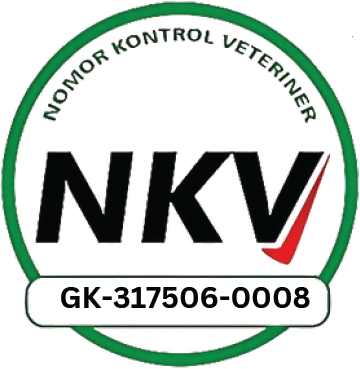 NKV Logo